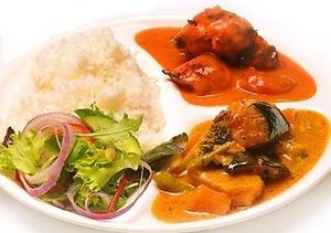 Reis mit Hühnercurry und Gemüsecurry at India Express in Berlin