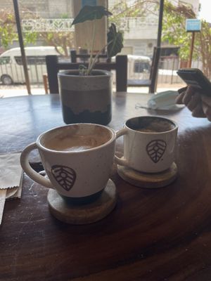 Very good Cappuccino and latte  at The Green Place in Puerto Vallarta