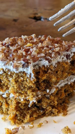  at The Green Place in Puerto Vallarta