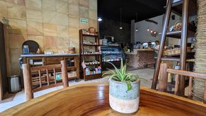  at The Green Place in Puerto Vallarta