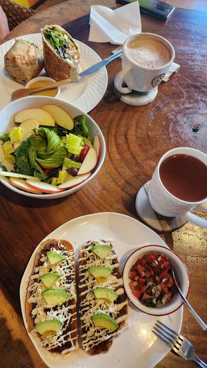 En la imagen hay un burrito vegetariano, con tofu a la mexicana, hummus y verduras. They great salad, con manzana mezcla de hojas, aguacate, jitomate Cherry y dátiles, excelente e at The Green Place in Puerto Vallarta