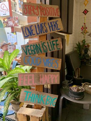 Cool vibes  #Veganuary at The Green Place in Puerto Vallarta