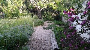 A journey through the garden at Shangrila Hilltop Retreat in Loule