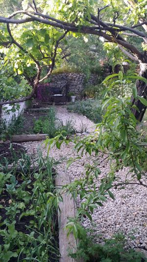 The secret garden at Shangrila Hilltop Retreat in Loule