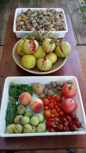 Garden Harvest at Shangrila Hilltop Retreat in Loule