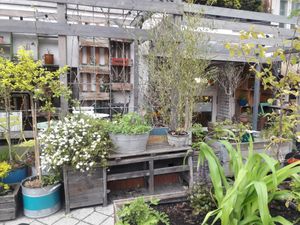 Front garden at Geranium Caffe in Poznan