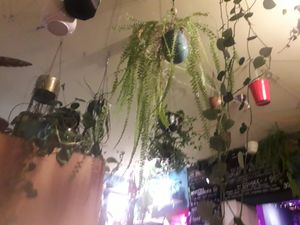 Inside 2 at Geranium Caffe in Poznan