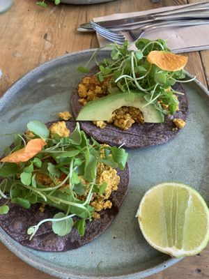 Scrambled tofu tacos. Very plain and small portion for what was charged.  at Vanilla Food in Noosaville