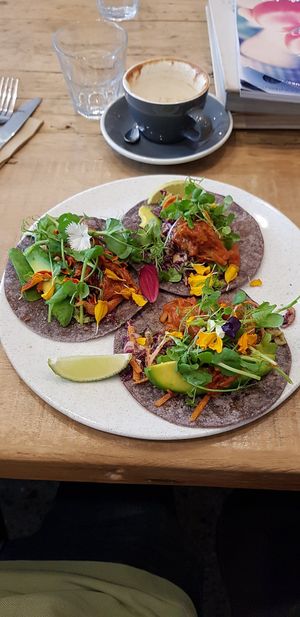 Jackfruit tacos at Vanilla Food in Noosaville
