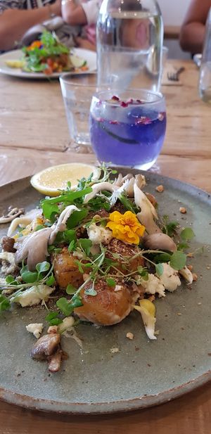 Pumpkin gnocchi with mushrooms and coconut feta at Vanilla Food in Noosaville
