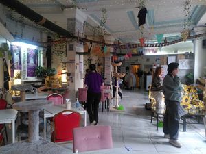  at Purple Cat Cafe in Glasgow