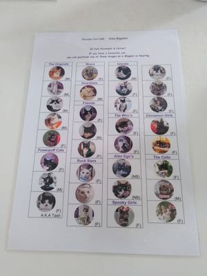  at Purple Cat Cafe in Glasgow