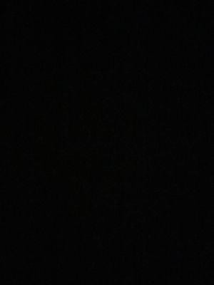 What the food looks like :  at BLACKOUT Dining in the Dark in Las Vegas