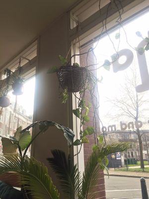 decor at Buddha Bowl in The Hague