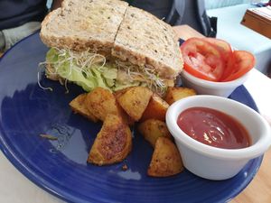 Chickpea Tuna sandwich at Cali Cafe in Cozumel
