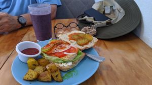 Buffalo Chicken Sandwich and smoothie. at Cali Cafe in Cozumel