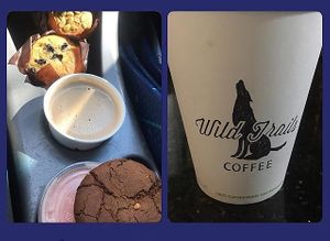 Had a pumpkin spice latte (all their syrups are made in house! With real pumpkin!), pumpkin muffin, blueberry muffin and one of the fruit smoothies. Their pumpkin spice is my fave at Wild Trails Coffee in North Vancouver