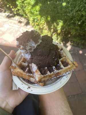   at Utopia Ice in Christchurch