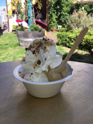 Vegan whipped coconut cream and roasted hazelnuts on Utopia vegan ice cream. Divine.  at Utopia Ice in Christchurch