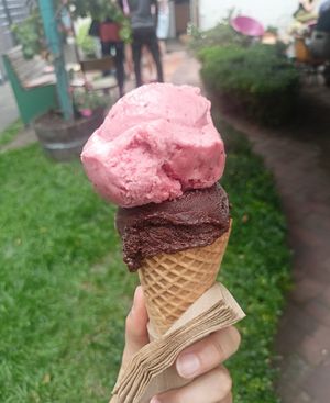  at Utopia Ice in Christchurch