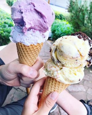 Plant base at Utopia Ice in Christchurch