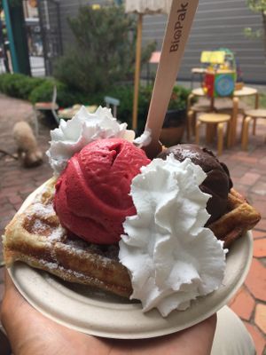Vegan waffle (6,-) with double scoop raspberry and dark chocolate (8,-) and coconut cream (1,-) 😋 at Utopia Ice in Christchurch