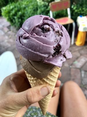 coconut blackberry crumble and coconut dark chocolate cacao nibs at Utopia Ice in Christchurch