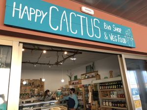 Happy Cactus Organic Shop  at Happy Cactus in Fuerteventura