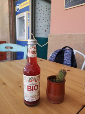 👍 at Happy Cactus in Fuerteventura