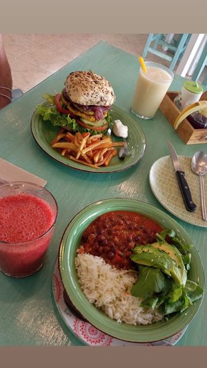  at Happy Cactus in Fuerteventura