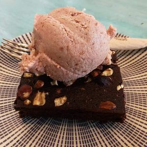  at Happy Cactus in Fuerteventura