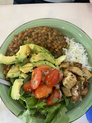Rice with lentil stew and extra tofu at Happy Cactus in Fuerteventura