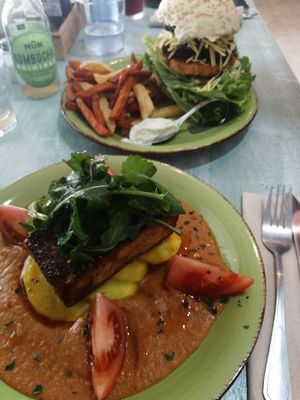  at Happy Cactus in Fuerteventura