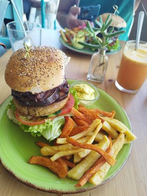  at Happy Cactus in Fuerteventura