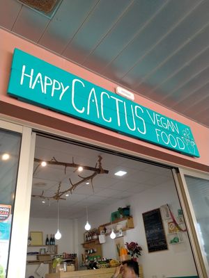  at Happy Cactus in Fuerteventura