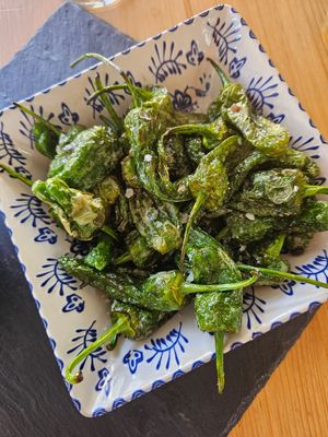  at Happy Cactus in Fuerteventura