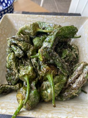   at Happy Cactus in Fuerteventura