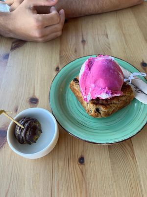   at Happy Cactus in Fuerteventura