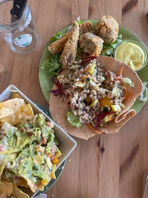   at Happy Cactus in Fuerteventura