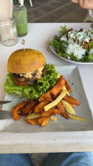   at Happy Cactus in Fuerteventura