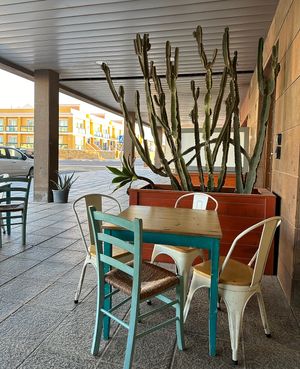  #Veganuary at Happy Cactus in Fuerteventura