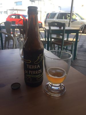 Fruity beer at Happy Cactus in Fuerteventura