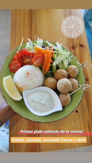 Falafels at Happy Cactus in Fuerteventura