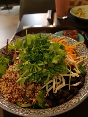 budha bowl at Forky's - Veleslavinova in Prague