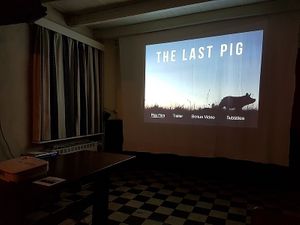 screening docu The Last Pig @Koersepeerd, by Uitgezonderd at Volkskeuken - People's Kitchen in Bruges