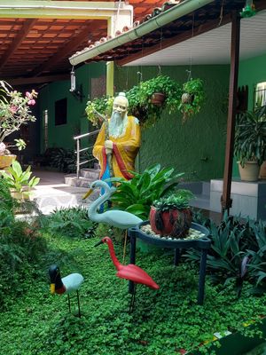 Front garden. at Gafanhoto's in Sao Luis