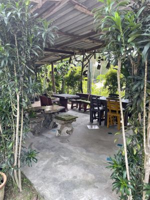   at Organic Vegetarian Food by Mrs. Pong in Koh Phangan
