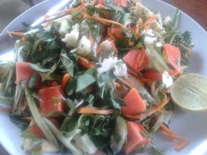 Green organic papaya salad  at Organic Vegetarian Food by Mrs. Pong in Koh Phangan
