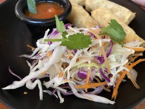 Vegetable spring rolls   at Phat Noodle in Dominical