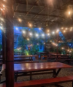  at Phat Noodle in Dominical